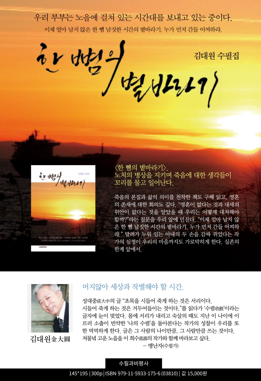 한뼘의별바라기_김대원.jpg