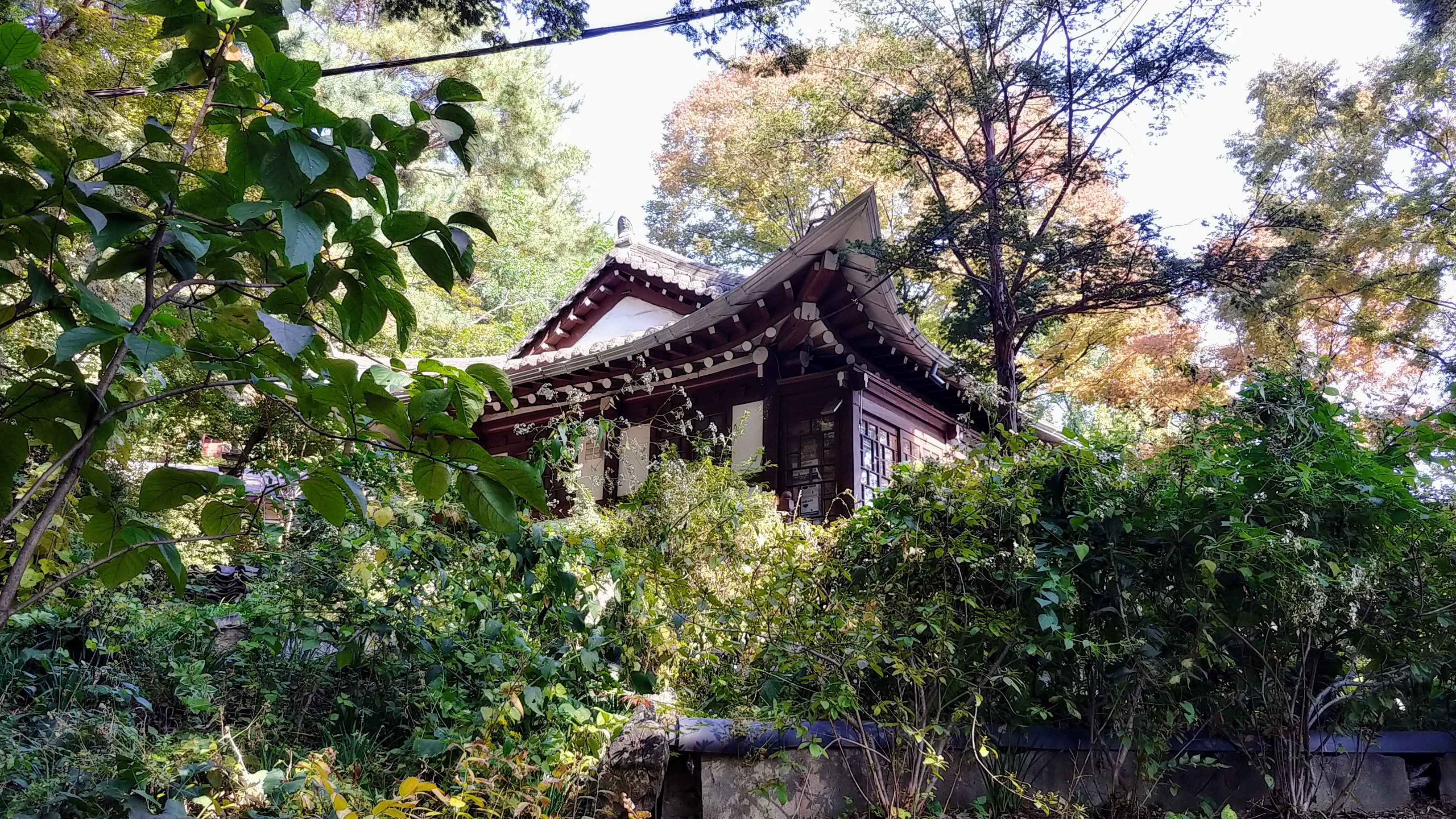 길상사의 가을(박병률).jpg