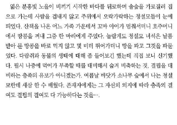 권두에세_3.jpg